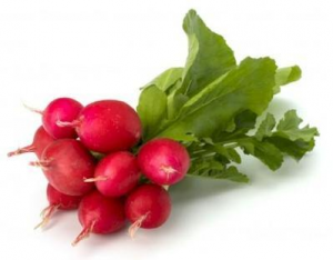 radish / ea