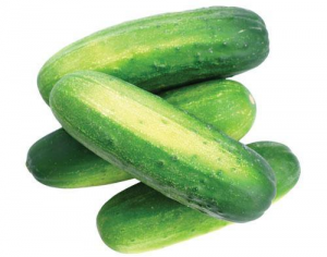 pickle cucumber / 1lb