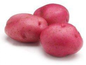 red potatos / 1lb