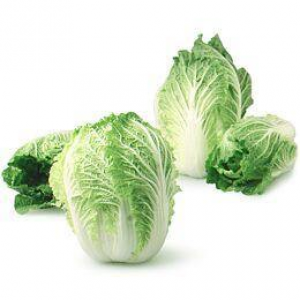 Napa Cabbage / 1lb