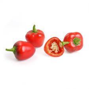 red bell pepper / 1lb